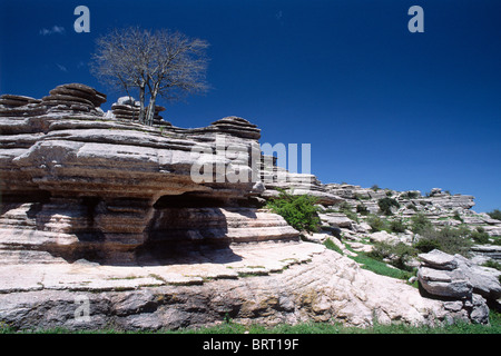 Le Parc Naturel Torcal de Antequera, la province de Malaga, Andalousie, Espagne, Europe Banque D'Images