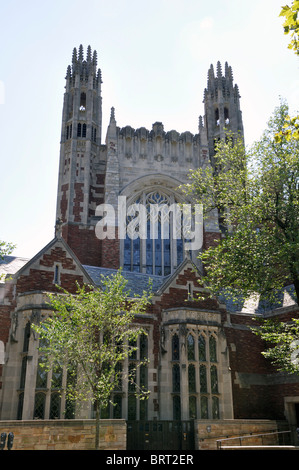 L'université de Yale, New Haven, Connecticut, USA Banque D'Images