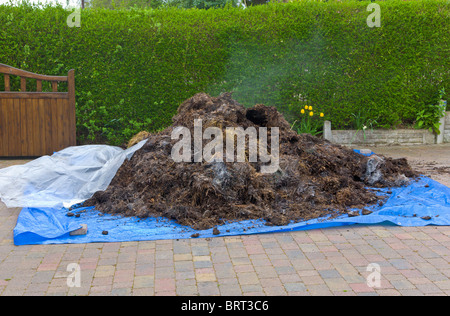 Livraison de fumier de cheval sur le devant en voiture, Wirral, Merseyside, Angleterre Banque D'Images