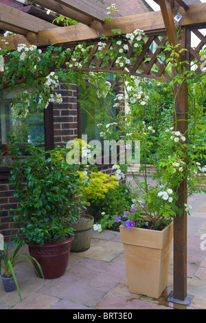 Pergola avec rambling rose blanche, Recteur, grandissant dans l'pot, Angleterre Banque D'Images