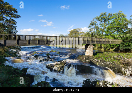 Linton Falls sur la rivière Wharfe, près de Grassington, Wharfedale, Yorkshire Dales National Park, England, UK Banque D'Images