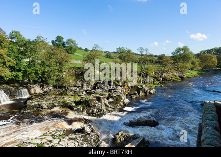 Linton Falls sur la rivière Wharfe, près de Grassington, Wharfedale, Yorkshire Dales National Park, England, UK Banque D'Images