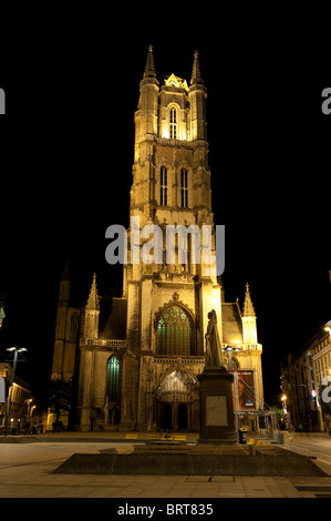 Scène de nuit de la cathédrale St Bavos, Gand Belgique Banque D'Images