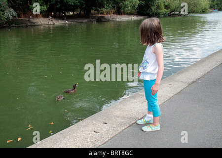 Une jeune fille debout à côté du lac de plaisance de Regents Park, Londres regarder deux petits canards dans l'eau. Banque D'Images