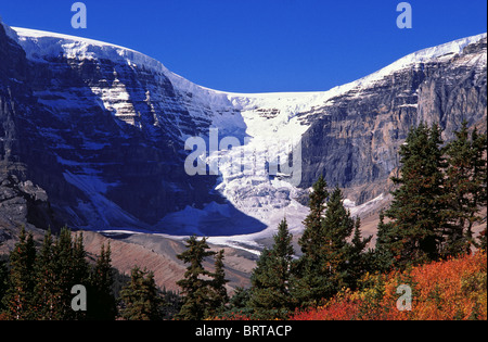 Le Dôme glacier de Wilcox, crête de glace Columbia, Jasper National Park, Alberta, Canada Banque D'Images