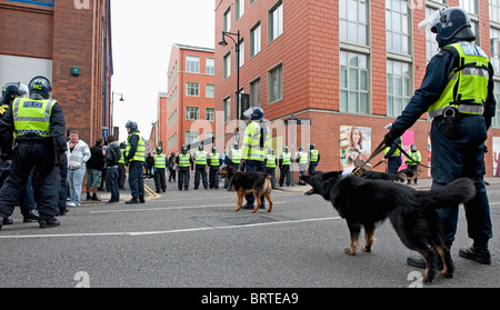 Unité de chiens policiers montent la garde comme la Ligue de défense anglaise démontrer à Leicester. 9 octobre 2010. Banque D'Images