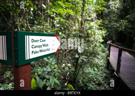 Un signe est vu dans le parc national du Gunung Mulu au Sarawak, Bornéo Malaisien Banque D'Images