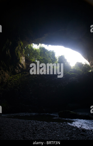 La lumière est visible à travers une ouverture dans Deer Cave à Mulu National Park, à Bornéo, en Malaisie Banque D'Images