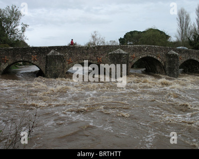 Bickleigh bridge river exe Devon uk inondations inondations graves torrent violent courant rapide Banque D'Images
