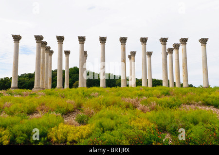 L'Arboretum National, Washington DC, USA Banque D'Images