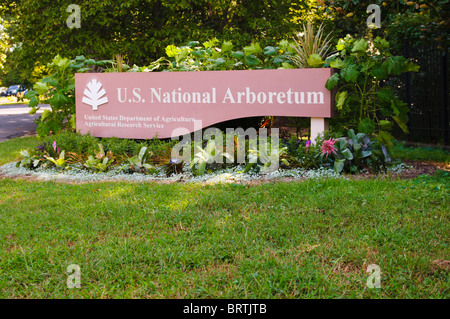 L'Arboretum National, Washington DC, USA Banque D'Images