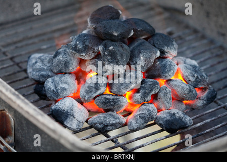 La combustion du charbon, briquettes sur un grill Banque D'Images