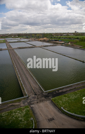 Les lits de filtration à un centre de traitement de l'eau dans le nord-est de Londres, UK Banque D'Images