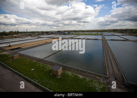 Les lits de filtration à un centre de traitement de l'eau dans le nord-est de Londres, UK Banque D'Images