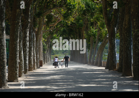 Couple avec enfant et poussette de bébé marche entre de grands arbres à Manuel Braga park à Coimbra, Portugal Banque D'Images
