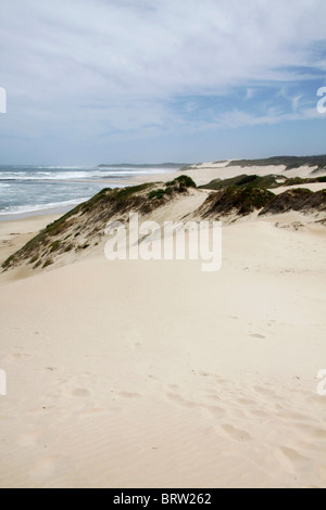 Vue depuis les dunes de sable de la baie de la Sardaigne, près de Port Elizabeth en Afrique du Sud Banque D'Images