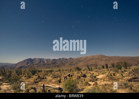 Ciel de nuit clair de Anza Borrego Desert State Park, Californie. Banque D'Images