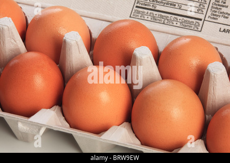 Les oeufs de poule brun de cage sur un fond blanc Banque D'Images