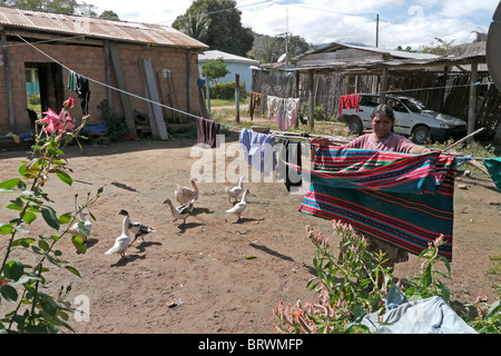 ECOTOPS LA BOLIVIE Projets en Alto Beni. Détails d'une ferme à Remolinos. photo : Sean Sprague Banque D'Images