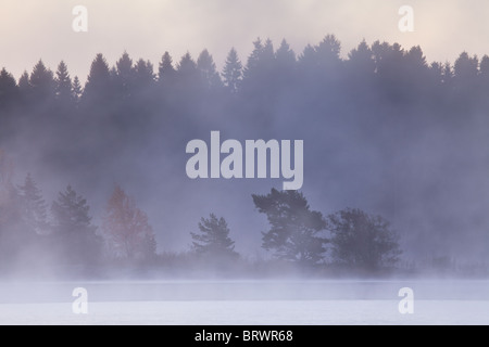 Brume matinale après une nuit glaciale du Lac en octobre Vansjø, au Maroc. Vansjø est une partie de l'eau appelé système Morsavassdraget. Banque D'Images