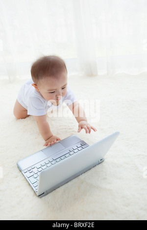 Baby Boy Using laptop computer Banque D'Images
