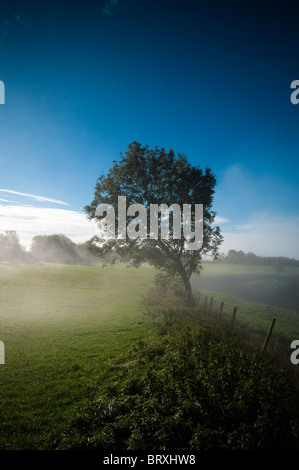 Misty vue depuis le chemin de crête à Coaley Cotswold, Angleterre, Royaume-Uni Banque D'Images