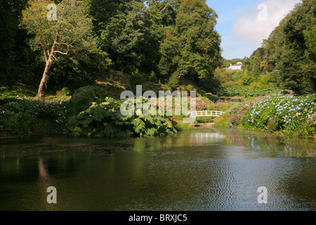 Trebah Gardens, Cornwall, England, UK Banque D'Images