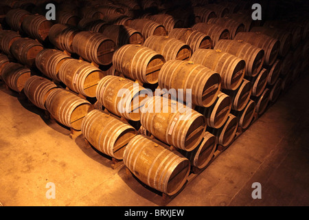 Cuves de COGNAC DANS LES CAVES DE Rémy Martin, MERPINS, Charente (16), FRANCE Banque D'Images