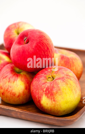 Les pommes, Malus domestica 'Newton Wonder' Banque D'Images