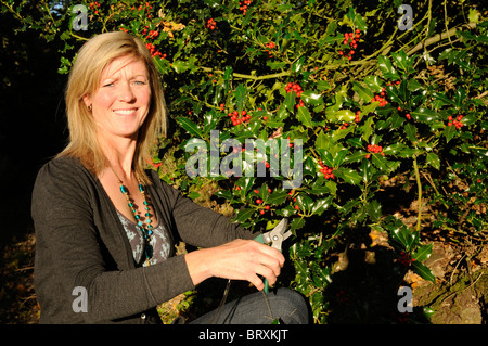 Woman cutting fruits rouges sur une branche de houx pour des décorations de Noël. Les feuilles ont une utilisation médicinale dans le traitement des rhumes Banque D'Images