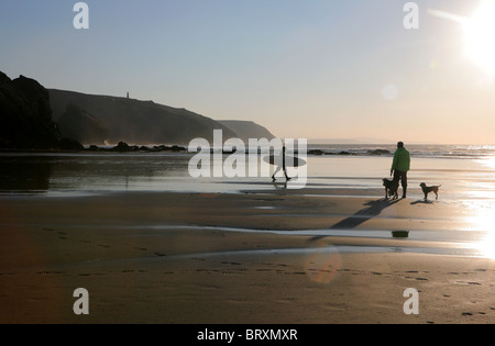 Chien surfeur et walker sur Porthtowan beach, côte nord des Cornouailles, Angleterre. Banque D'Images