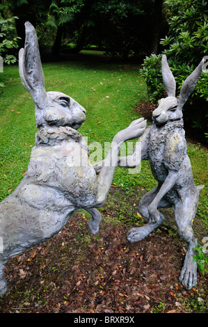 Lièvre lièvres Lepus europaeus paire deux combats de boxe lutte fort peuplement permanent art sculpture pendant la saison des amours Banque D'Images