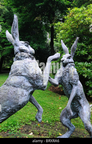 Lièvre lièvres Lepus europaeus paire deux combats de boxe lutte fort peuplement permanent art sculpture pendant la saison des amours Banque D'Images