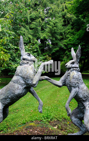 Lièvre lièvres Lepus europaeus paire deux combats de boxe lutte fort peuplement permanent art sculpture pendant la saison des amours Banque D'Images