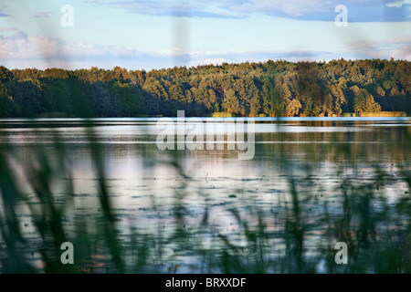 Gostyninsko Wloclawski National Park, au nord ouest de la Pologne Banque D'Images