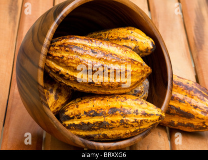 Theobroma cacao sur le pont Banque D'Images