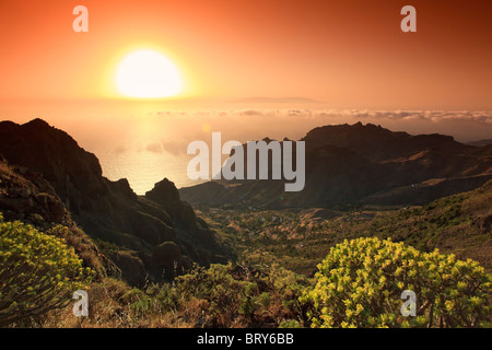 Canaries, La Gomera, Côte Sud, Valle Gran Rey Ravin Banque D'Images