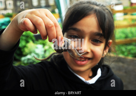 Les études d'un enfant un escargot soulevant, dans le cadre de l'expérience de jardinage en visite dans un centre spécial, Bradford Banque D'Images