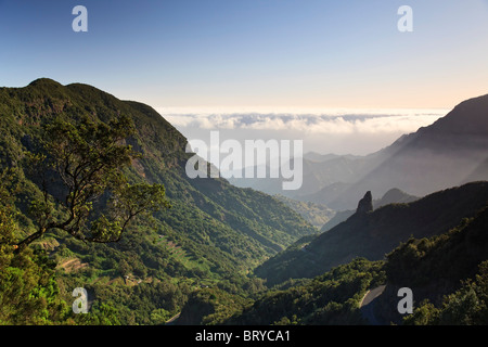 Canaries, La Gomera, Parc National de Garajonay (UNESCO Site) Banque D'Images
