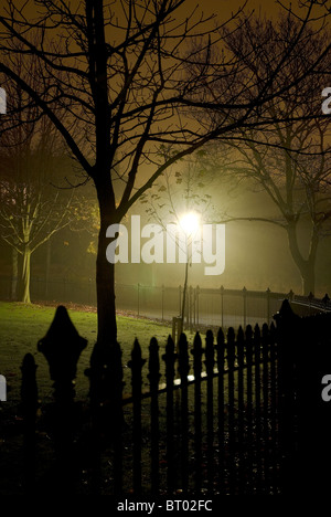 Les arbres et les garde-corps dans un brouillard humide et Victorian Edwardian ou immobiliers urbains la nuit, éclairé par des lampes à gaz. Banque D'Images