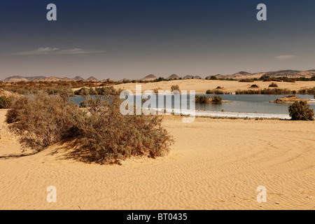 Salt Lake près de Oasis Bahariya, désert de l'ouest, l'Egypte, l'Afrique Banque D'Images