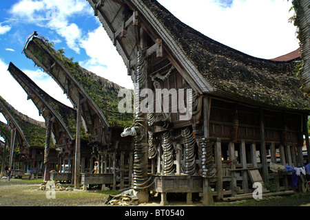 Maisons traditionnelles Torajan, Kete Kesu, Tana Toraja, au sud de Sulawesi, Indonésie Banque D'Images