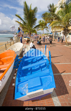 Bateaux de pêche sur l'avenida de las Canteras, à Las Palmas de Gran Canaria. Banque D'Images