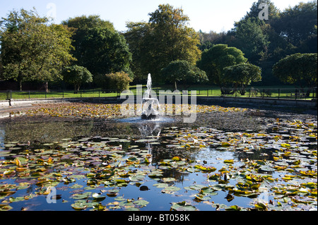 L'étang aux nénuphars et fontaine dans Haigh country park, Wigan Banque D'Images