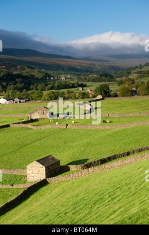 La recherche de Swaledale dans le Yorkshire Dales National Park près de Gunnerside Banque D'Images