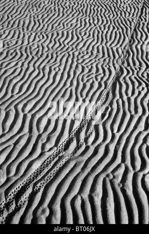 Des traces de pneus de vélo sur le sable de la plage Banque D'Images