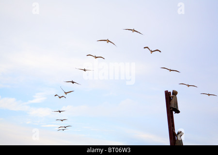 Flock of birds flying over une sculpture à Puerto Vallarta, Mexique Banque D'Images