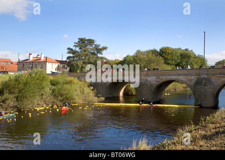 Arrivée de la course de canards 2010 au pont-route au nord de Tadcaster Banque D'Images