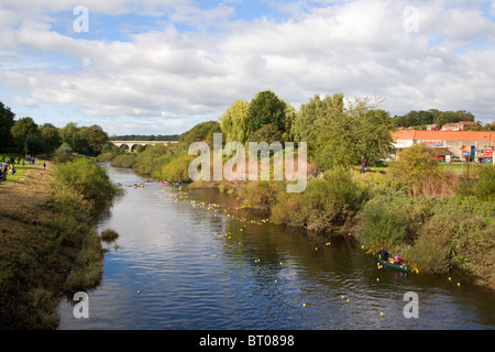 2010 La course de canards sur la rivière Wharfe Tadcaster Yorkshire du Nord Fra Banque D'Images