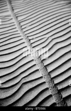 Des traces de pneus de vélo sur le sable de la plage Banque D'Images